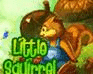 Play Irutia Little Squirrel