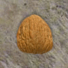Play Memory Shell Game